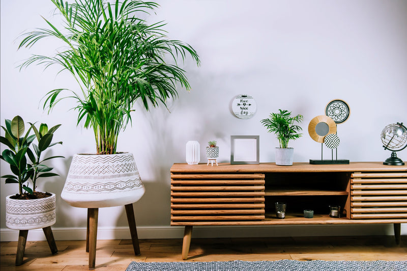 Breathing Warmth into Your Home: Incorporating Wooden Furniture in Your Home Décor