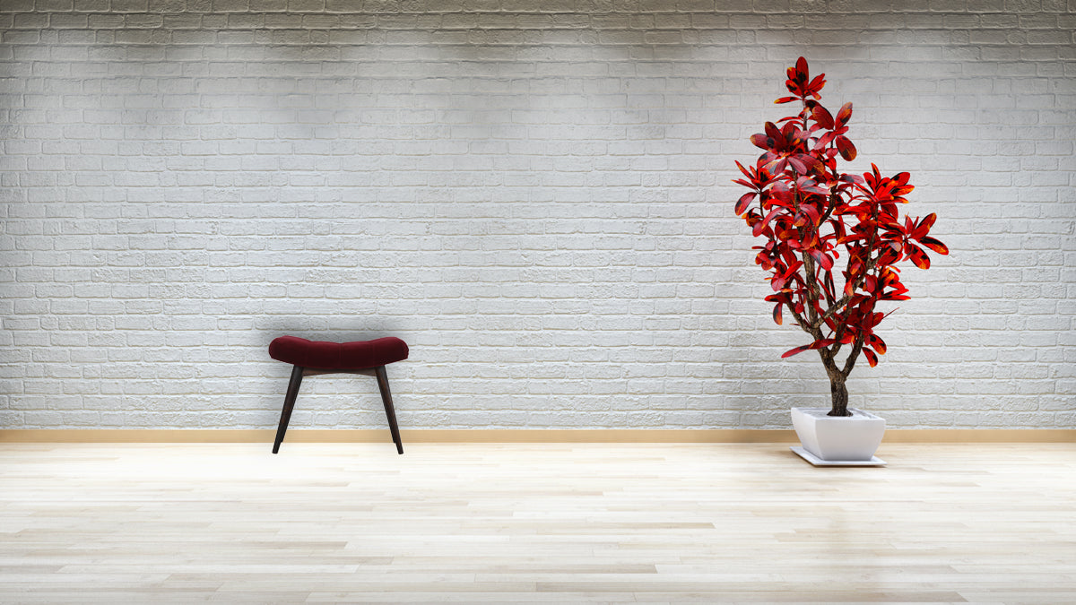 Wine Red Cotton Velvet Curved Bench