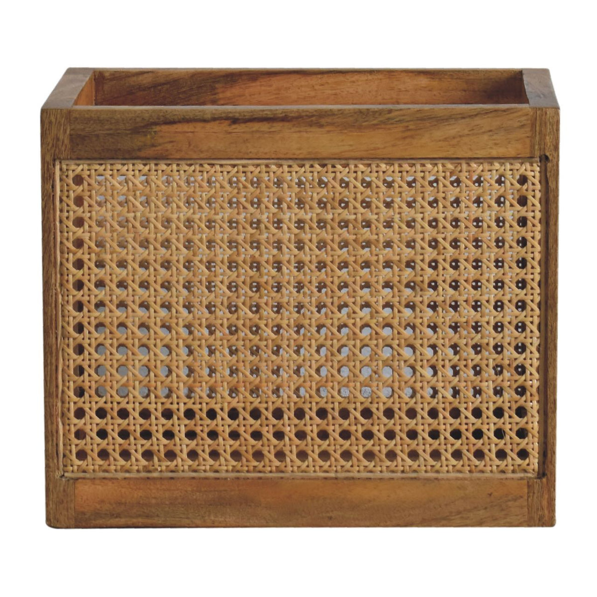 Larissa Storage Basket